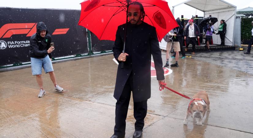 F1: Beteg Hamilton kutyája, lecserélte őt a Ferrari
