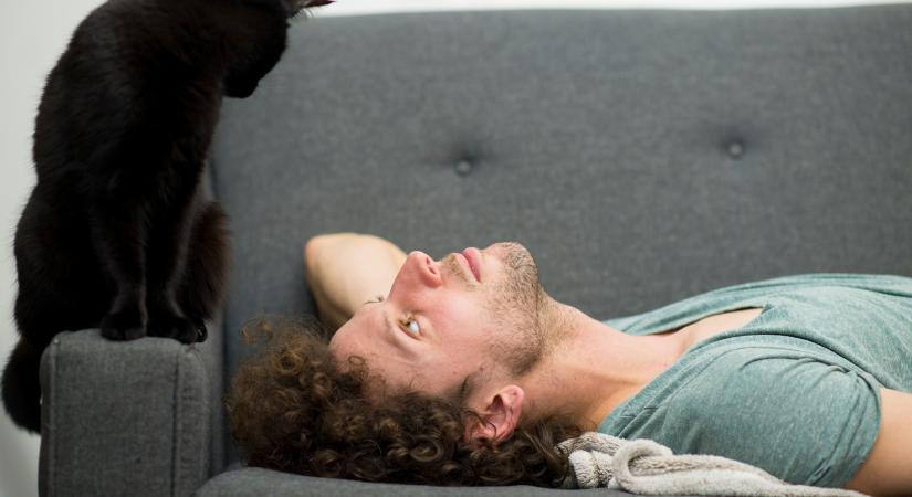 Így tarts macskát, ha allergiás vagy rájuk: 10 gyakorlati tippet adunk
