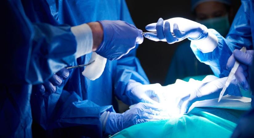 Rémülve álltak az orvosok – hatalmas szőrgombócot szedtek ki a tinédzser hasából