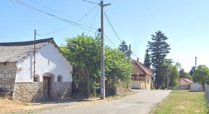 Magára hagyta a kutyáját költözés után egy nő Szerencsen