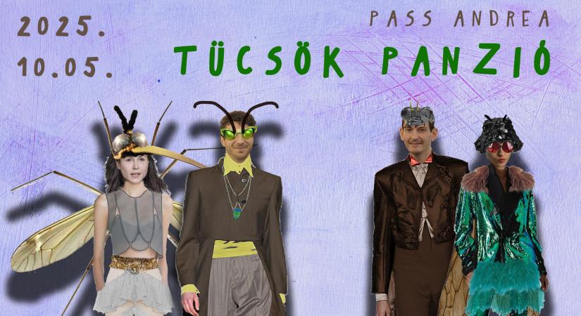 A Tücsök panzióval nyitja meg évadát a Vaskakas Bábszínház