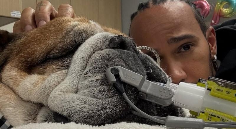 Kórházba került Roscoe, újra kellett éleszteni – Hamilton a Pirelli-tesztet is kihagyta miatta