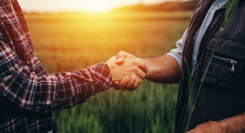 Embertelen körülmények és nulla fizetés a győri munkáért