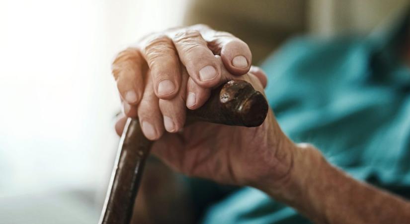 75 év házasság után kéz a kézben halt meg a holokauszt-túlélő és férje