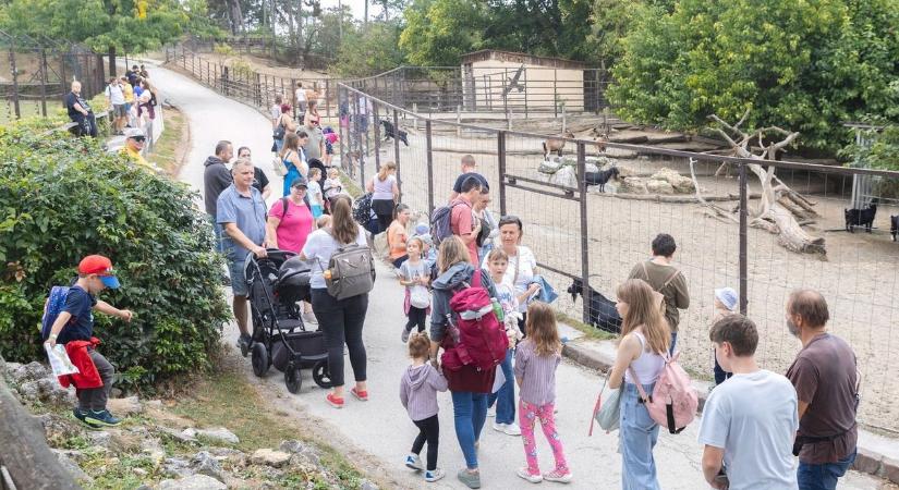 Régen látott sztárt fotóztak le a gyöngyösi állatkertben! Őt tényleg senkinek sem kell bemutatni – itt a kép