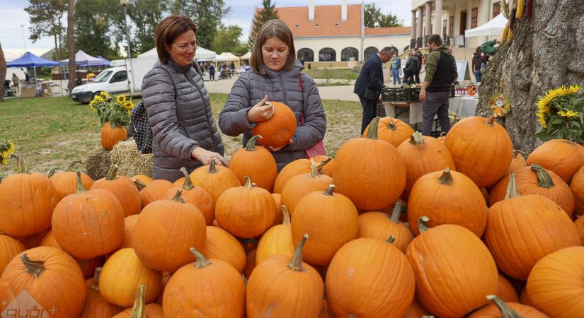 Őszi és egészségpiac is lesz Csanakon