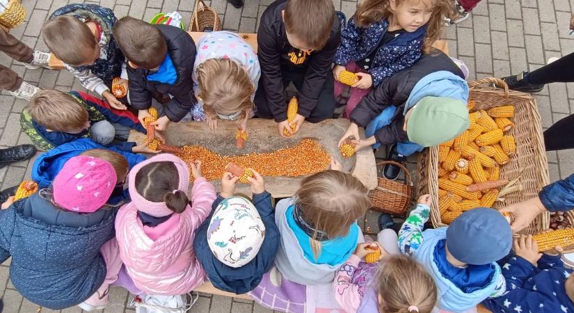 Mihály napi vásár, fáról hulló valutával (videó)
