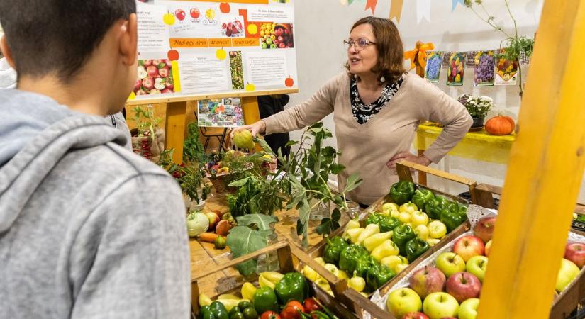 Traktor, kolbászillat és sütemények a Jávorka Pikniken