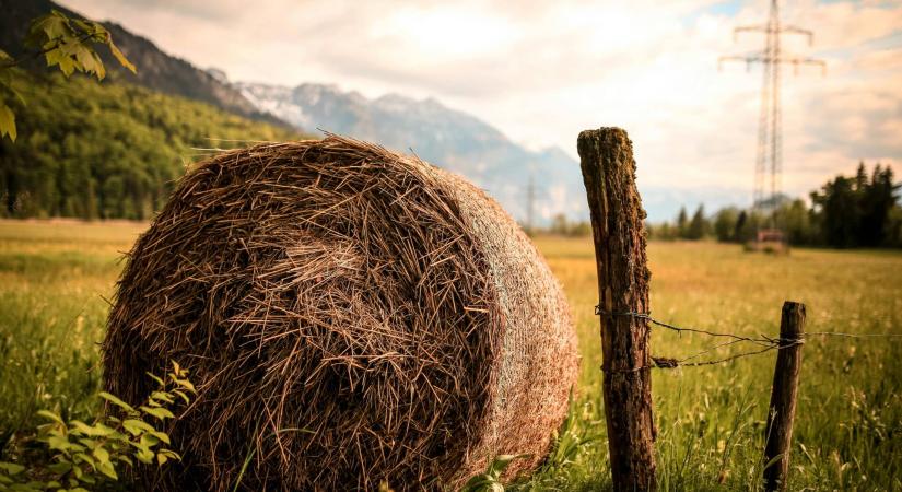 Permakultúra kis kertben: önfenntartás lépésről lépésre