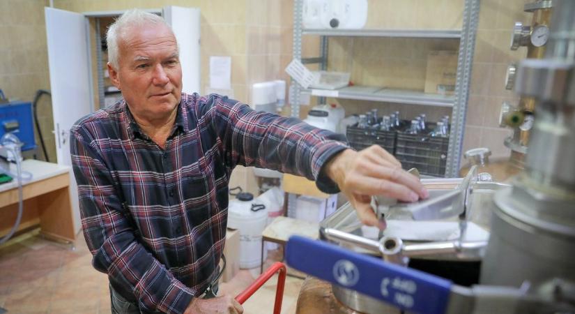 Főnek a szilvák, felkészülnek az almák - csúcsra jár a szezon a pálinkafőzdében