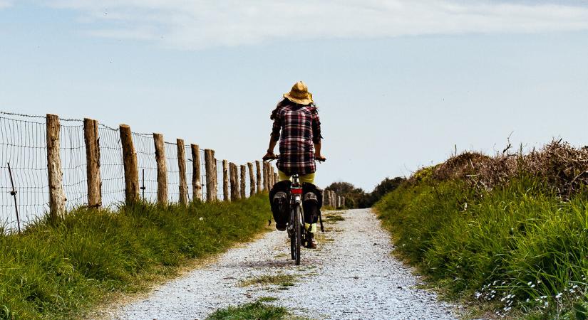 Kutyák támadtak a bicikliző nőre – mind a négy végtagját elveszítette