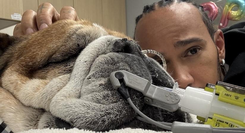 Hamilton kihagyta az F1-es tesztet a beteg kutyája miatt