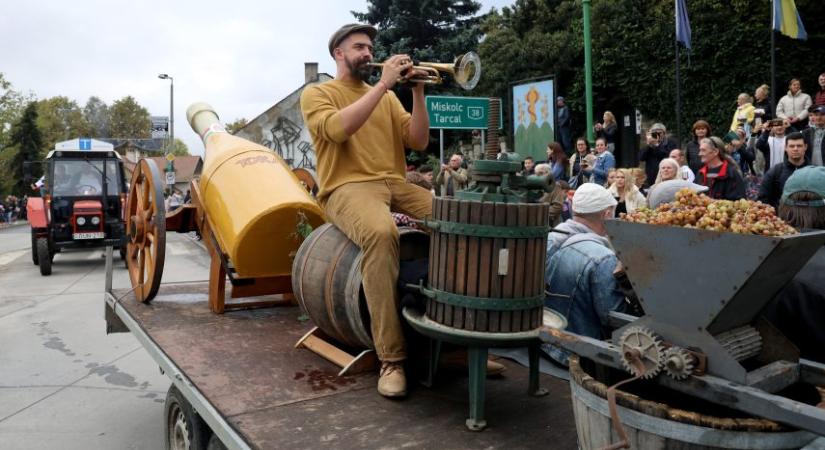 Szüreti Napokkal indul az október Tokajban