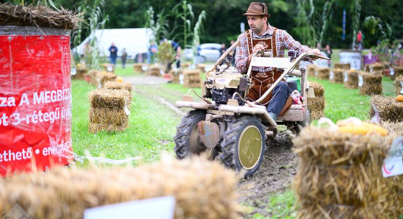Fantasztikus versenyhangulatban dübörgött a rotakapa Lébényben