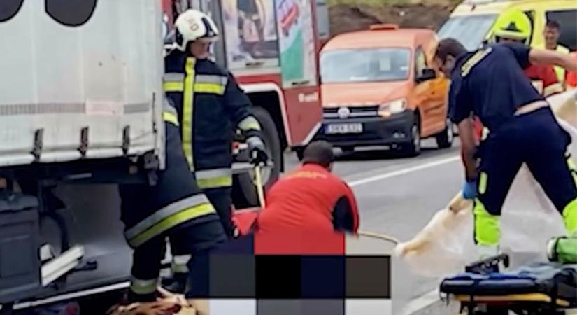 „3 gyermek és 3 felnőtt, akikért még küzd a mentőszolgálat! Senki nem használt biztonsági övet!” – Drámai videó a BRFK-tól