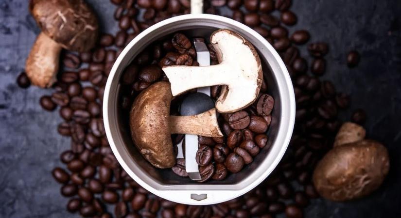 Gombakávé: egészséges trend vagy divat?