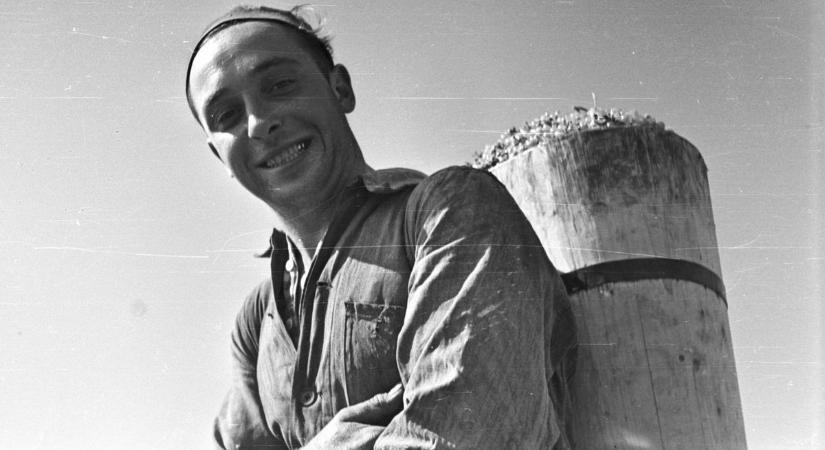 Elképeszt hangulatú régi fotók: a badacsonyi szüret arcai az 1960-as évekből