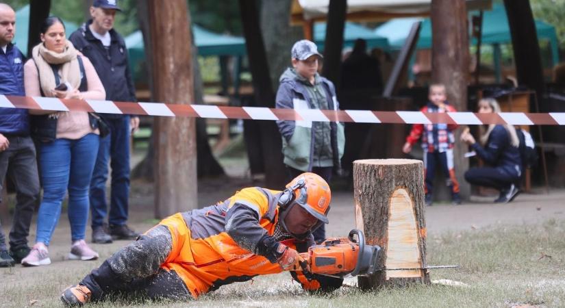 Favágás, madárgyűrűzés és vadpörkölt az Erdei tornapályán (fotók, videó)