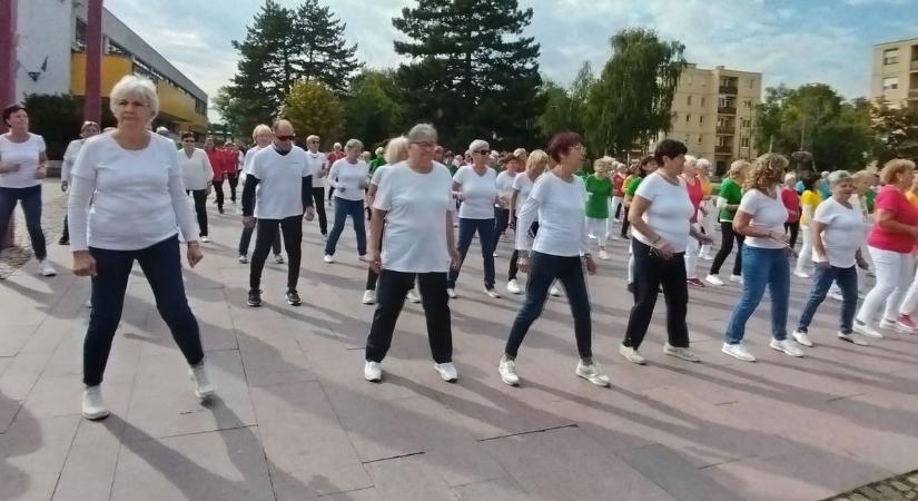 Idősek világnapjára a készülve (videó)