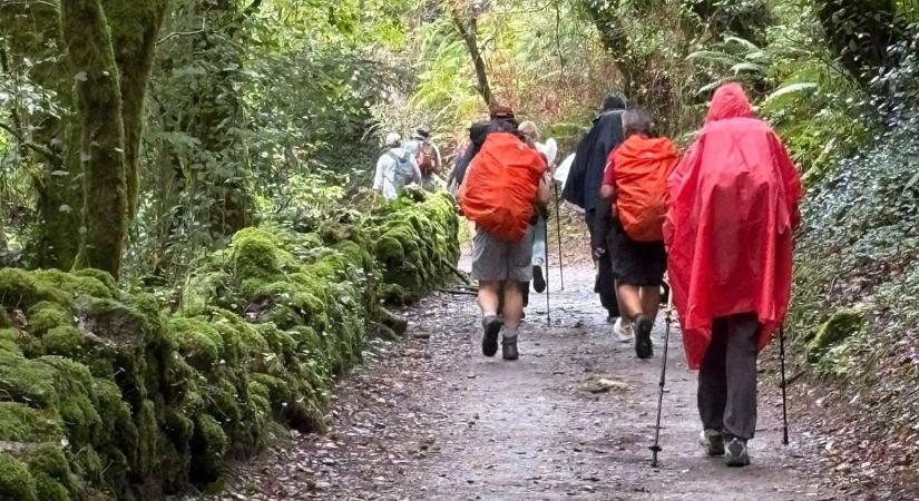 Dr. Kecskés Borbála és az El Camino: Több mint 100 kilométer önismeret és kitartás