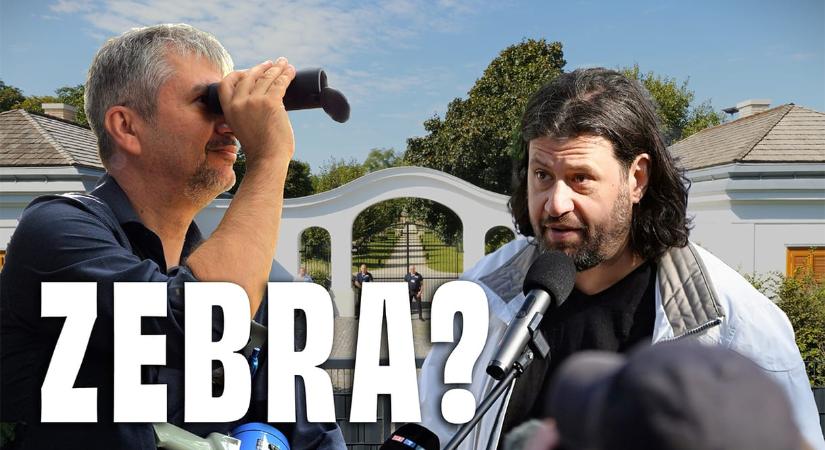 Zebralesen Hatvanpusztán - videó Hadházyék tüntetéséről