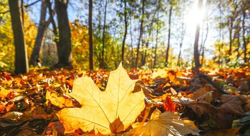 Napsütéses kirándulóidővel zárul a hét
