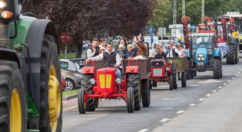 Így lett a szalmabála Bicske legnagyobb "celebe" (galéria)