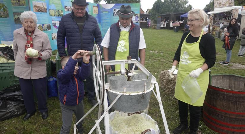 Hajdúhadházon főszerepben a káposzta és a közösség