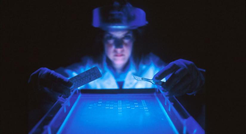 DNS-tesztnek indult, elveszett testvér megtalálásához vezetett – 60 év után ünnepelhetett a család