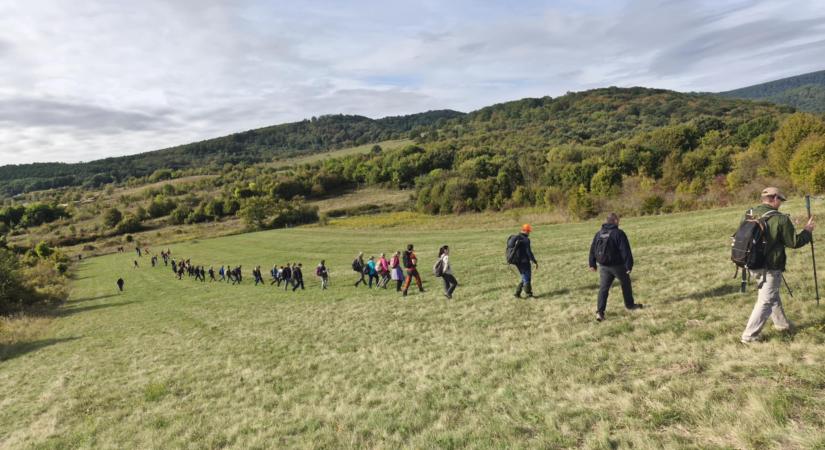 A lány, aki nem ment haza…