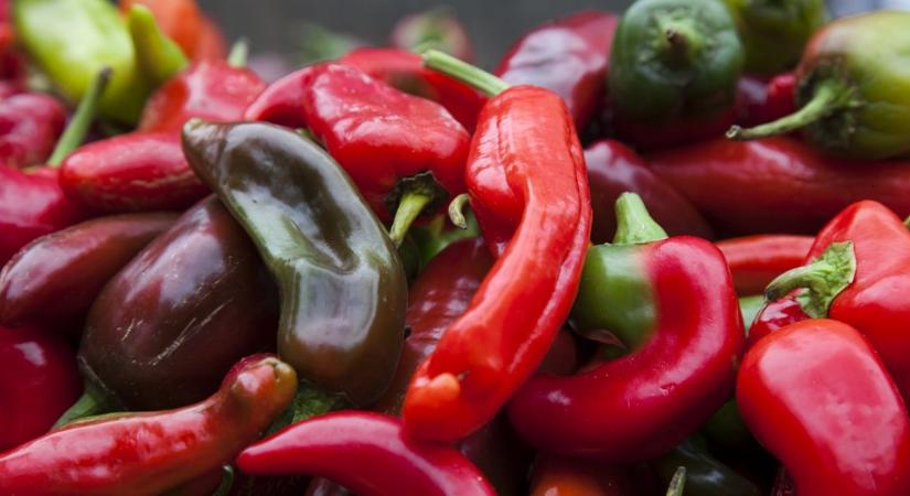 Így marad a paprika hetekig friss és ropogós – egy egyszerű konyhai trükk
