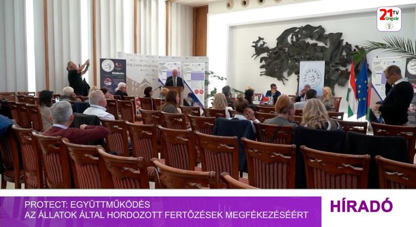 Protect: együttműködés az állatok által hordozott fertőzések megfékezéséért (videó)