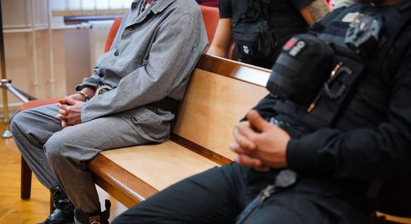 Horror: brutális ügyet tárgyalnak, szakértőkre is szükség lesz