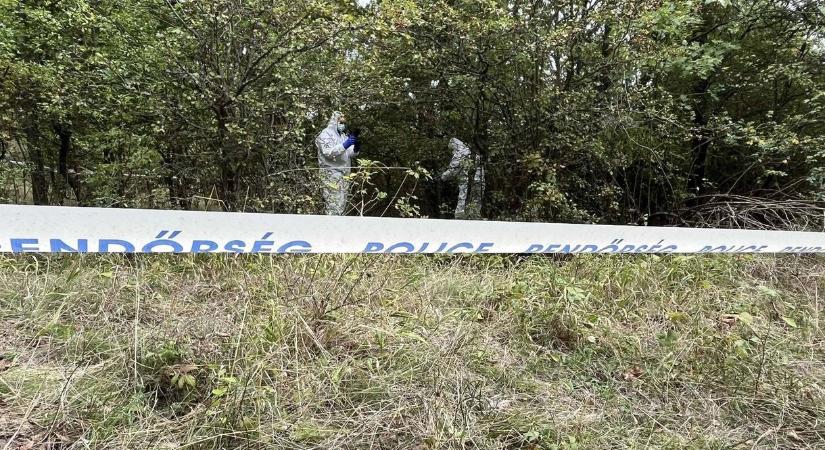 Ötszázan keresték a Pilisben eltűnt, holtan megtalált nőt: nem merült fel bűncselekmény gyanúja