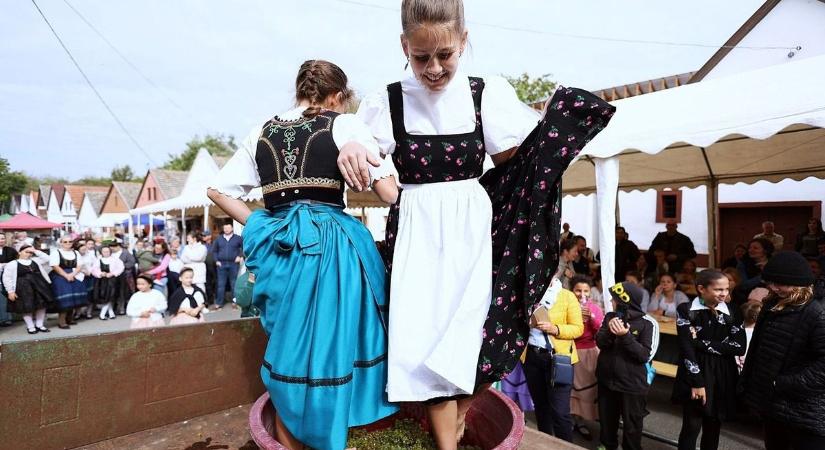 Látványos szőlőtaposással ünnepelték az újbor születését Nemesnádudvaron – fotó, videó