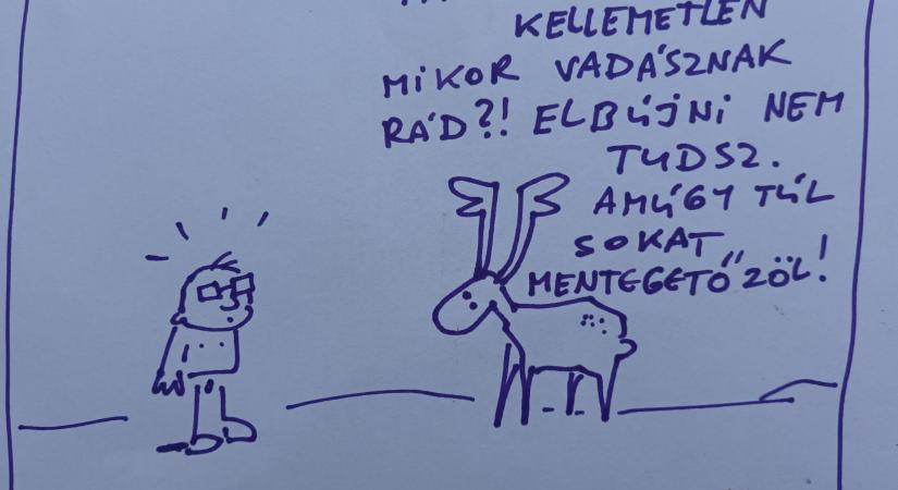 Sior: rajzok haza 23.