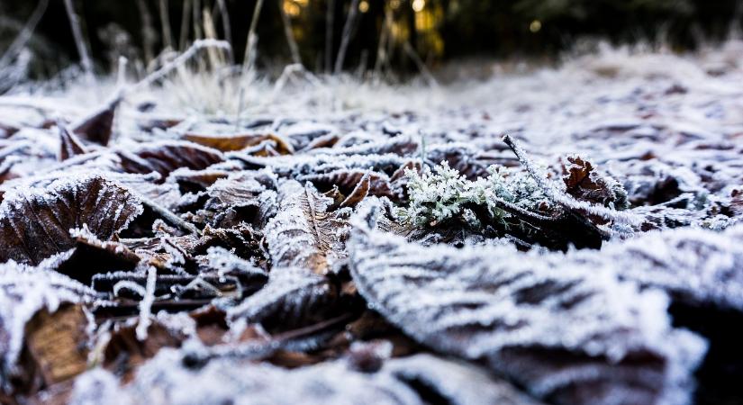 Sarkvidéki levegő érkezik Oroszország felől, a jövő héten megmutatja magát a tél