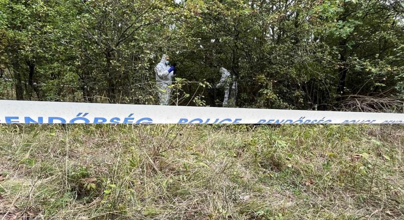 Záróközleményt adtak ki Kaszás Nikolett keresésével kapcsolatban