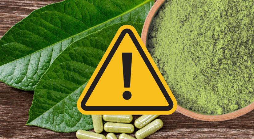 Új veszély leselkedik a fiatalokra: a kratom nem energiaforrás, hanem egy drog