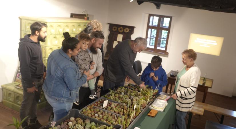 Álmosd, a kaktuszszeretők titkos zarándokhelye