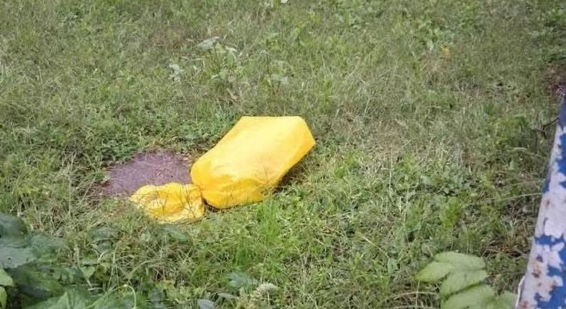 Keserves sírás hallatszott egy bekötött szájú zsákból! Hihetetlen, ami a hajdú-bihari településen történt