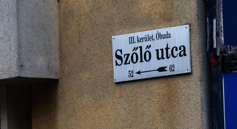 A Fidesz leszavazta a Szőlő utcai botrány hátterét kutató ellenzéki vizsgálóbizottságot
