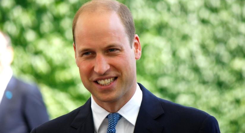 Vilmos herceg lett a monarchia legnagyobb kincse