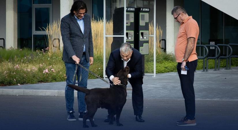Orbán Viktor megnézte az MTK új sportparkját