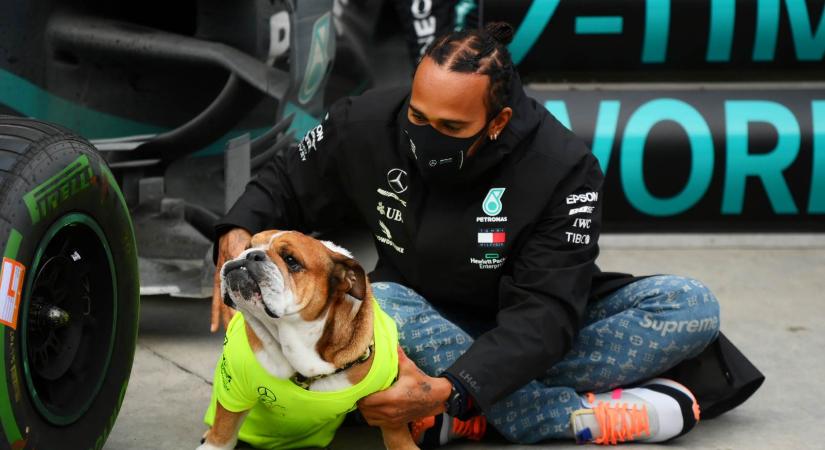 F1: Szívszorító veszteség, gyászol Lewis Hamilton