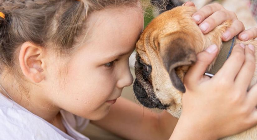 Őszi program, amit nem hagyhatsz ki – terápiás kutyák várják a gyerekeket