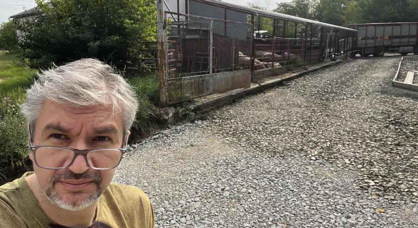 Bezárták, de végül újra kinyithatott a fideszes Horváth István feleségének horrorvágóhídja
