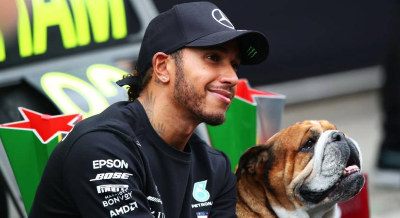 Gyászol Lewis Hamilton: meghalt imádott kutyája, Roscoe