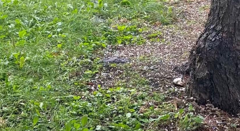 Videó! Jégeső verte el Egert, így ázott a város hétfő délután