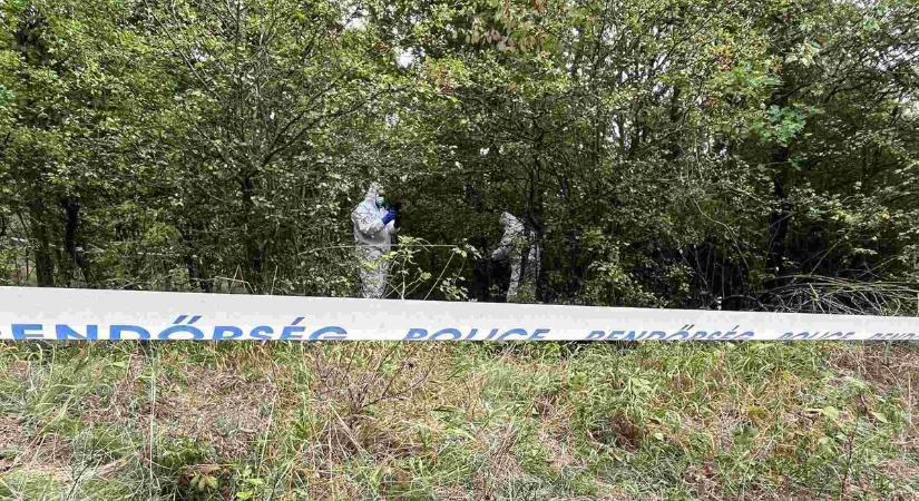 Megdöbbentő információk láttak napvilágot Kaszás Nikolett ügyében